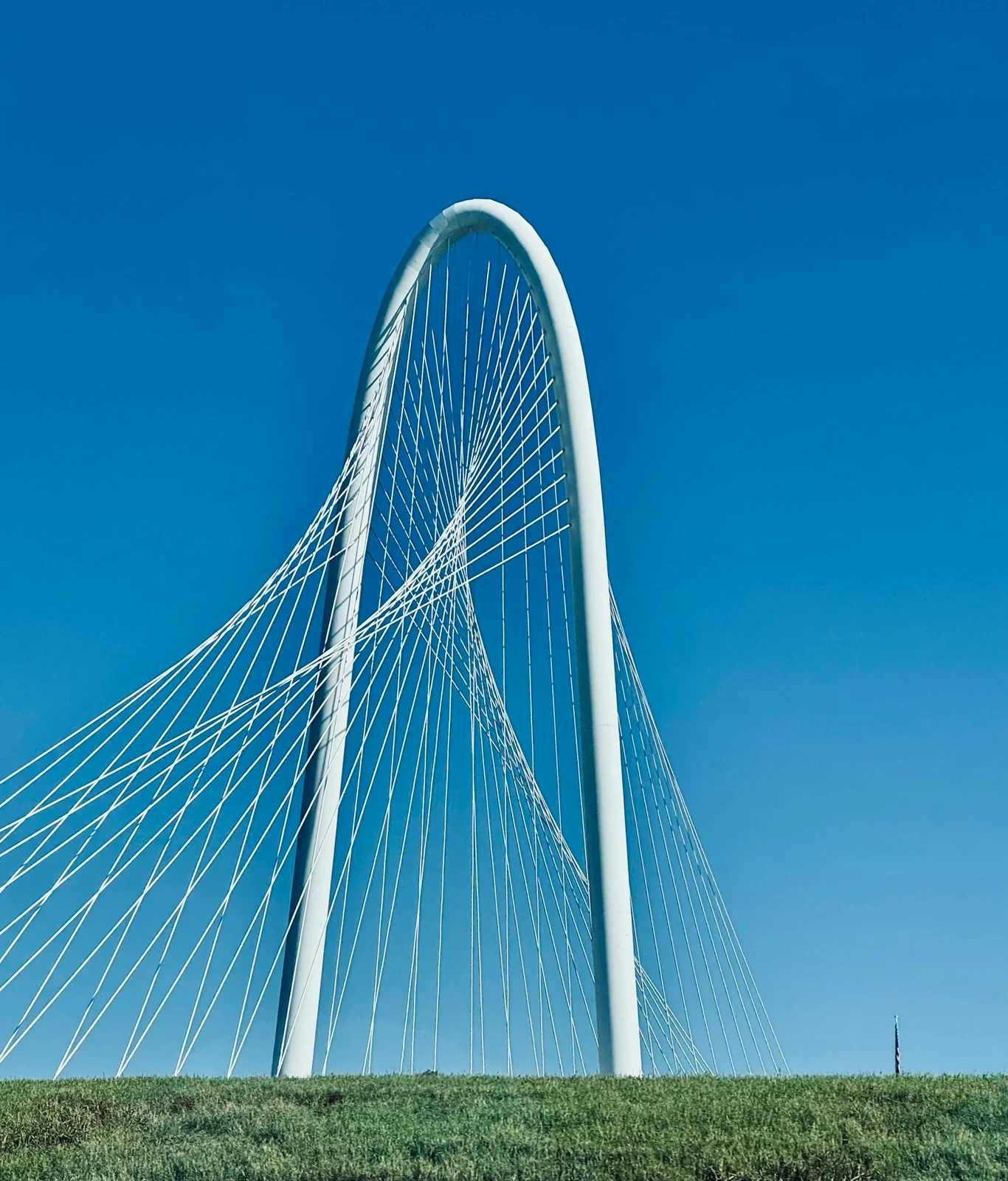 A modern bridge stands against a clear blue sky